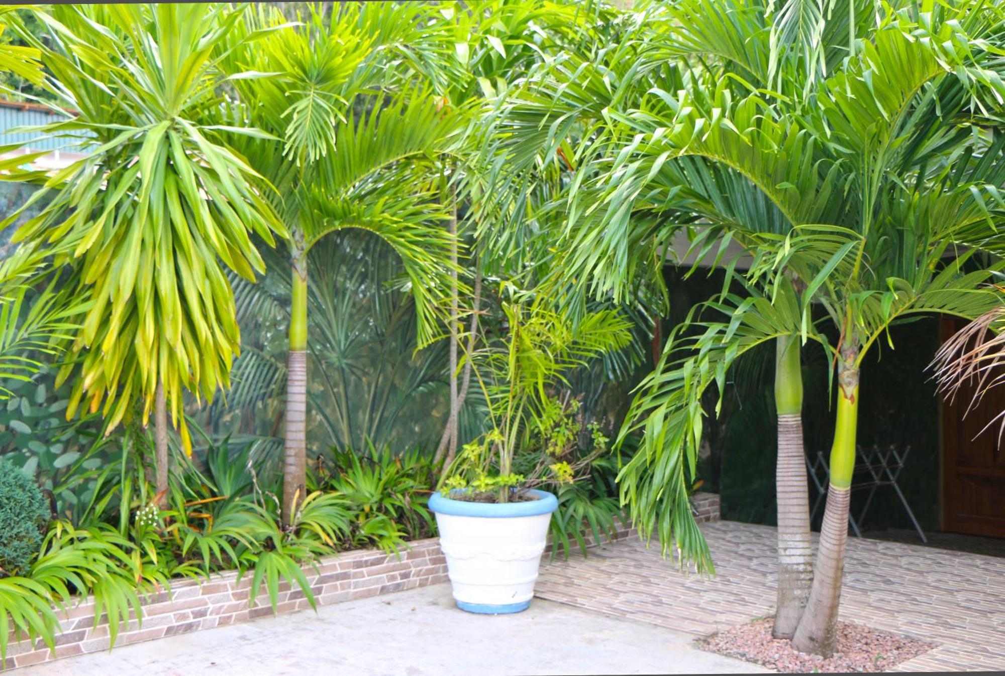Ferienwohnung Ocean Blue Bay Anse Volbert Village Exterior foto