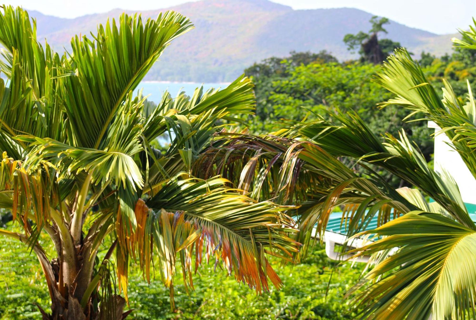 Ferienwohnung Ocean Blue Bay Anse Volbert Village Exterior foto
